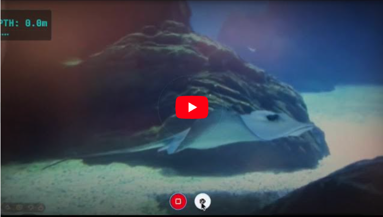 Smart Dive AI screenshot 5